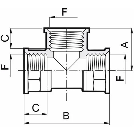 LEM SELECT Raccord TE Femelle G 2" 4 LEM SELECT Raccord TE Femelle G 2" – Image 2