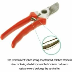 VERSAILLESFR Ressorts De Sécateur De Volute, Ressort De Volute De Rechange, Pièces De Ressort De Sécateur De Jardin En Acier Inoxydable, Accessoires D'outils De Jardinage De Ressorts De Rechange, 5 Pièces 5.8cm Versailles 10 VERSAILLESFR Ressorts De Sécateur De Volute, Ressort De Volute De Rechange, Pièces De Ressort De Sécateur De Jardin En Acier Inoxydable, Accessoires D'outils De Jardinage De Ressorts De Rechange, 5 Pièces 5.8cm Versailles -Promos Raccord d'arrosage Magasin 53366692 4