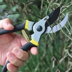 VERSAILLESFR Ressorts De Sécateur De Volute, Ressort De Volute De Rechange, Pièces De Ressort De Sécateur De Jardin En Acier Inoxydable, Accessoires D'outils De Jardinage De Ressorts De Rechange, 5 Pièces 5.8cm Versailles 11 VERSAILLESFR Ressorts De Sécateur De Volute, Ressort De Volute De Rechange, Pièces De Ressort De Sécateur De Jardin En Acier Inoxydable, Accessoires D'outils De Jardinage De Ressorts De Rechange, 5 Pièces 5.8cm Versailles -Promos Raccord d'arrosage Magasin 53366692 5