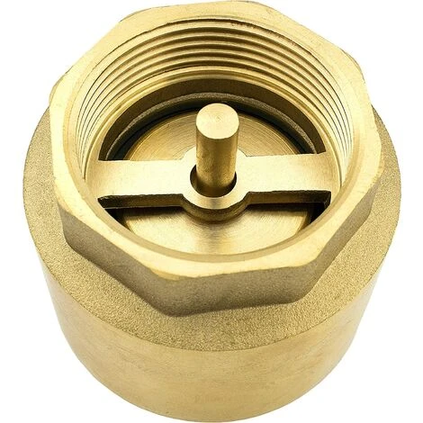 AOUGO Clapet Anti-retour De 1 Pouce En Laiton Robuste De Haute Qualité, Antirouille Et étanche Pour Pompe, Fontaine, Machine à Laver, Jardin, Mégots De Pluie, Baril 7 AOUGO Clapet Anti-retour De 1 Pouce En Laiton Robuste De Haute Qualité, Antirouille Et étanche Pour Pompe, Fontaine, Machine à Laver, Jardin, Mégots De Pluie, Baril – Image 5