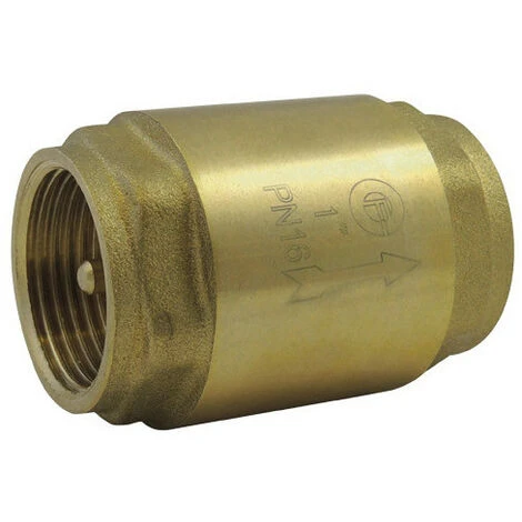 G�N�RIQUE Clapet Anti-retour Modèle Lourd à Ressort Avec Obturateur Laiton - Toutes Positions 1'1/4 - Codital 3 G�N�RIQUE Clapet Anti-retour Modèle Lourd à Ressort Avec Obturateur Laiton - Toutes Positions 1'1/4 - Codital