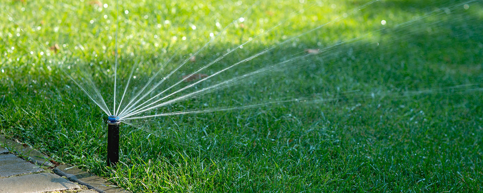Promos Raccord d'arrosage Magasin 1 Promos Raccord d'arrosage Magasin -Promos Raccord d'arrosage Magasin midi pyrenees et son climat installer un systeme darrosage enterre